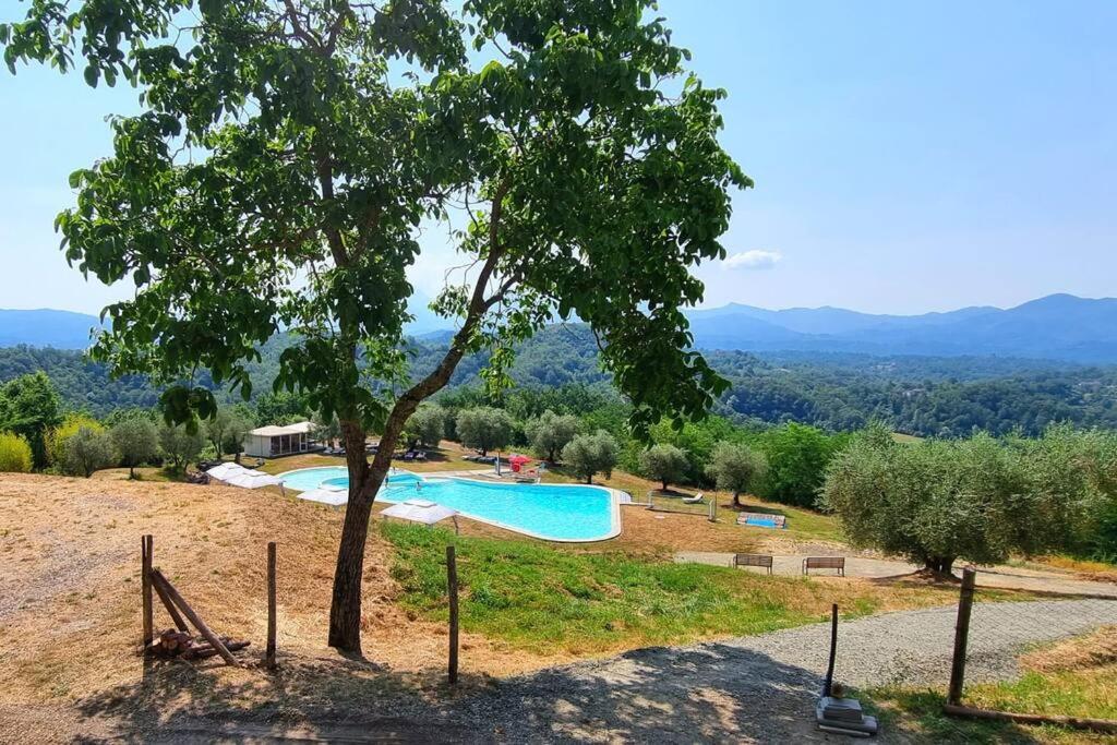 Appartamento La Mimosa Monti di Licciana Nardi Exterior foto